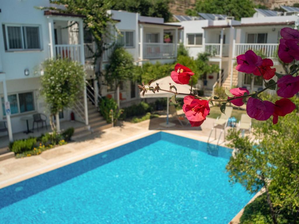 Hotel Гумушлук Екстериор снимка